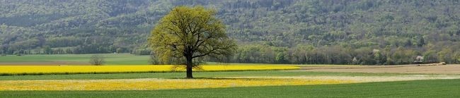 Des projets pour une vie, une vie de projets ...